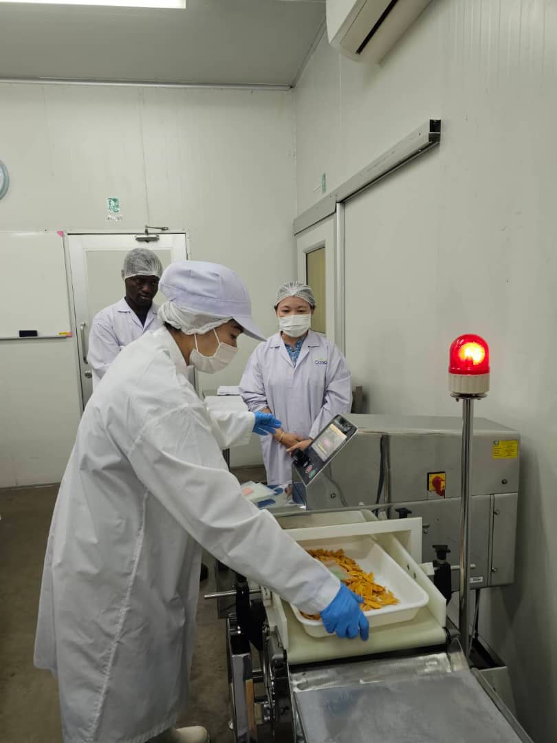 Culinary Experiences