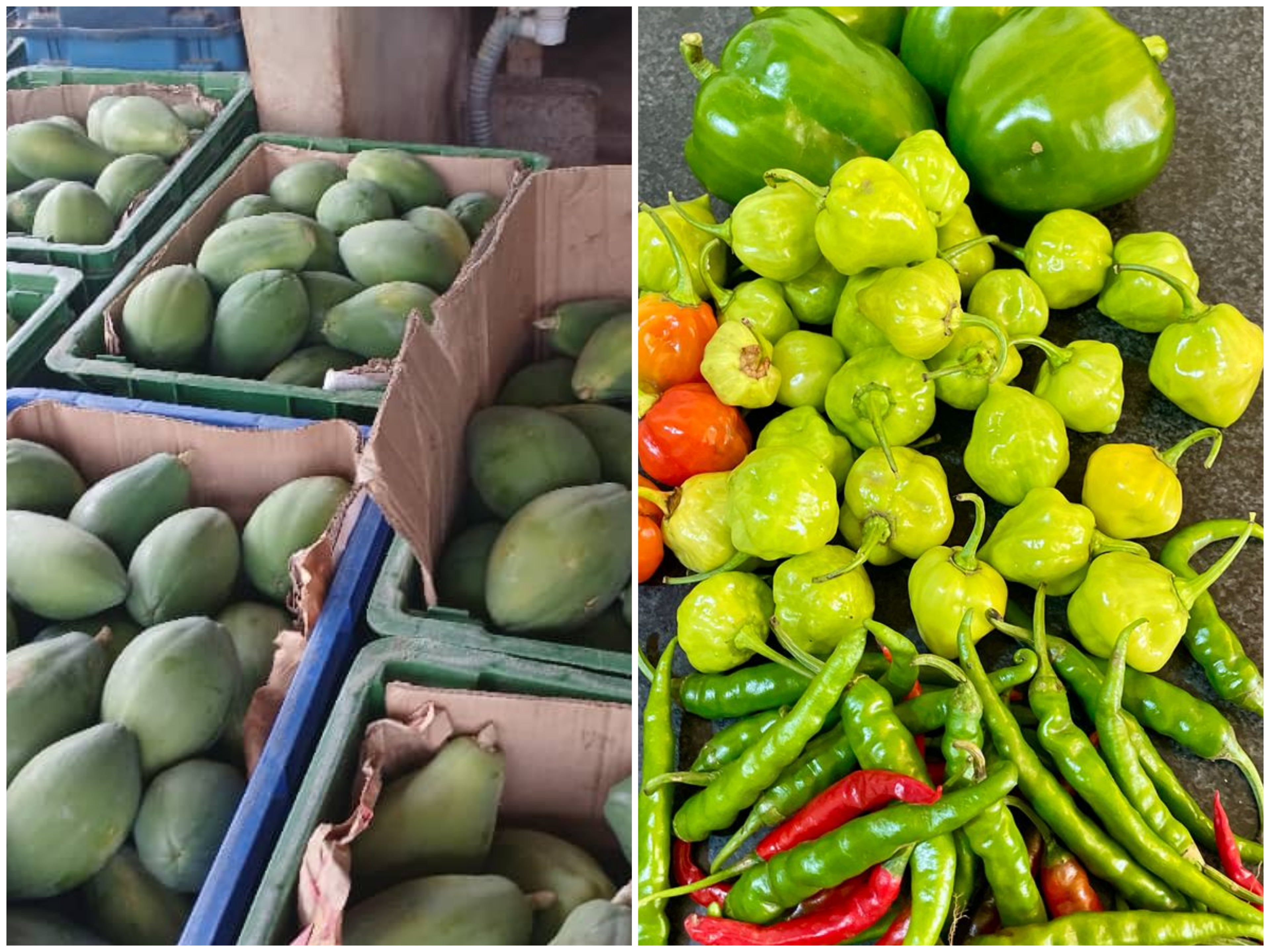 Horticultural Produce